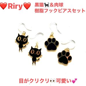 黒猫&肉球 樹脂フックピアス2ペアセット 猫 猫ピアス