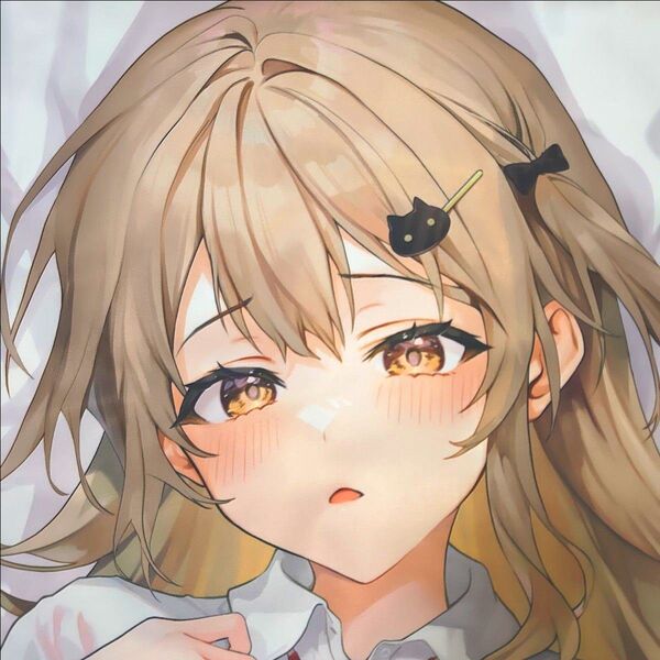【正規品・中古】Z-M Pillows sageジョー 豊橋みゆ 抱き枕カバー