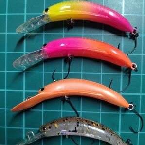 ディスプラウト ガメクラ F 4点
