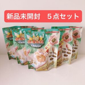 発掘! 恐竜化石せっけん せっけんの香り 60g 5点セット せっけん 恐竜 化石