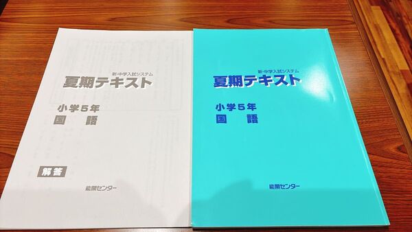 能開センター 新・中学入試テキスト夏期テキスト 小学5年 国語 解答付き