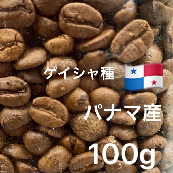 ゲイシャ パナマ産 珈琲豆 100g ゲイシャ種 スペシャリティコーヒー 最高級 豆 自家焙煎 クラウドコーヒー 浅煎り 中煎り