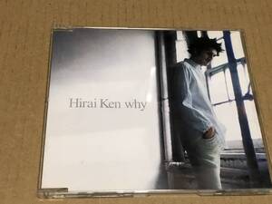 ★即決落札★平井堅「why」２０００年リリース/全５曲収録/定価￥１２２３