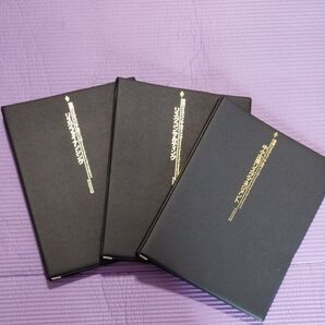 実践リスクコンサルティング ダイアモンド社 3冊