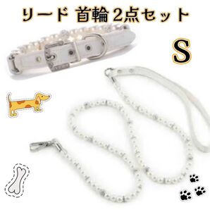 ドックリード 首輪 2点セット ホワイト 首回り20.5〜25cm S