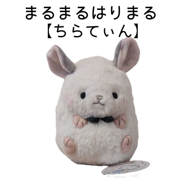 新品 まるまるはりまる ミドルぬいぐるみ ちらてぃん チンチラ