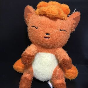 ヤフオク ポケモンサンムーンロコンの中古品 新品 未使用品一覧