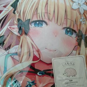 文屋 サレン 抱き枕カバー 正規品