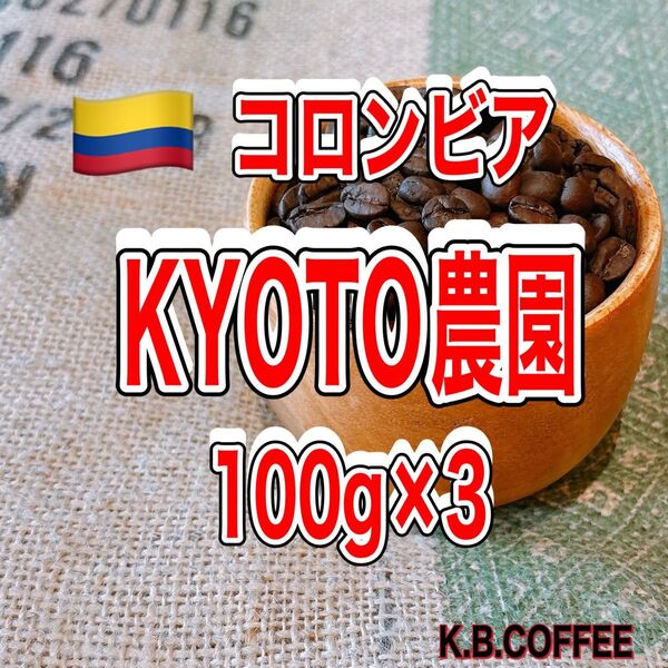 ⑪KYOTO農園(コロンビア)自家焙煎 珈琲豆 (100g×3)
