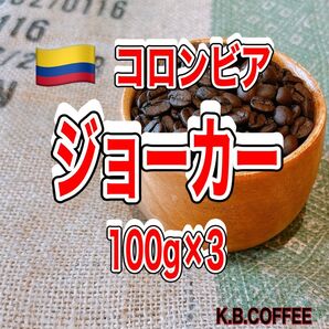 ⑫ジョーカー(コロンビア) 自家焙煎 珈琲豆 (100g×3)