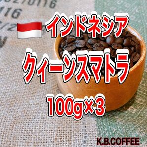 ⑰クィーンスマトラ(インドネシア)自家焙煎 珈琲豆 (100g×3)