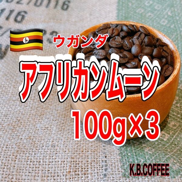 【37】アフリカンムーン(ウガンダ) 自家焙煎 珈琲豆 (100g×3)