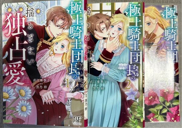 極上騎士団長の揺るぎない独占愛 1 〜3(BF COMICS な3-1) 直江亜季子/作画 黒乃梓/原作