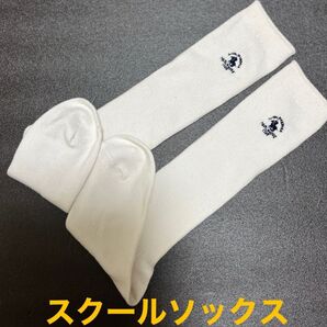 サンタバーバラ☆ワンポイントスクールソックス☆白ハイソックス☆学生 難あり