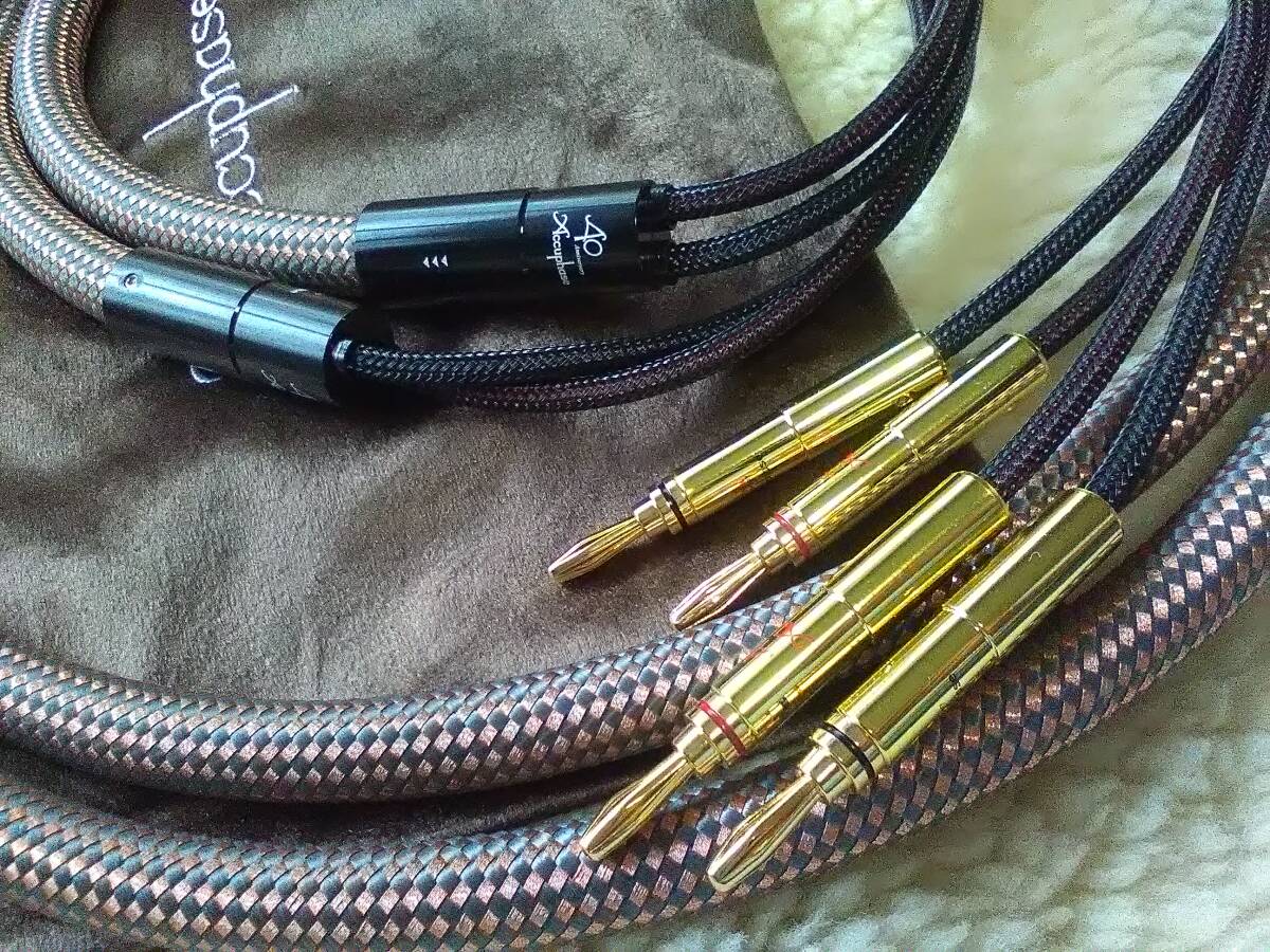 Accuphase spec ☆ スピーカーケーブル 2.5mペア 未使用品 Accuphase spec ☆ スピーカーケーブル 2.5mペア 未使用品