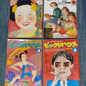 ビックリハウス