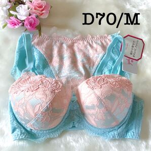 D70/M◆トリンプ TR0095プレミアムレッドレーベル ◆ブラ&ショーツ