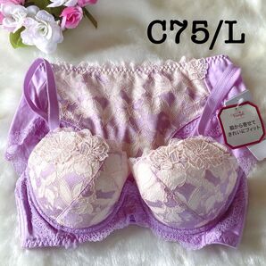 C75/L◆トリンプ TR0095プレミアムレッドレーベル ◆ブラ&ショーツ
