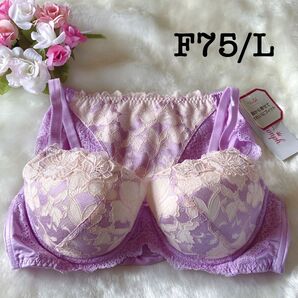 F75/L◆トリンプ TR0095プレミアムレッドレーベル ◆ブラ&ショーツ