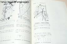 図説熱帯植物集成/EJHコーナー・ケンブリッジ大学教授/写生図による熱帯植物の決定版・収載植物2200余種・彩色写生図20枚・カラー写真15図_画像4