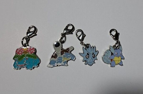 ポケモン メタルチャーム フシギバナ カメックス サナギラス カメール