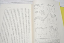 ★ 日本民族文化の研究 (1970年) ★ 考古民俗叢書〈7〉 国分 直一 (著) 慶友社_画像6