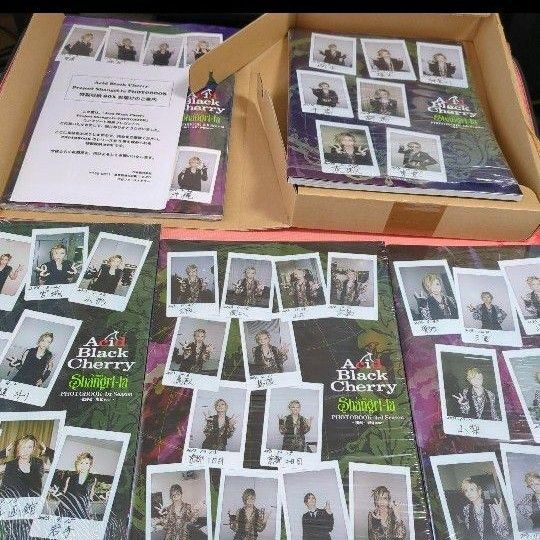 Acid Black Cherry Project Shangri‐la PHOTOBOOK