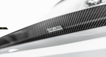 【Future Design 正規品】BMW Xシリーズ X4 G02 トランク用リアスポイラー リアウィング 本物DryCarbon ドライカーボン_画像10