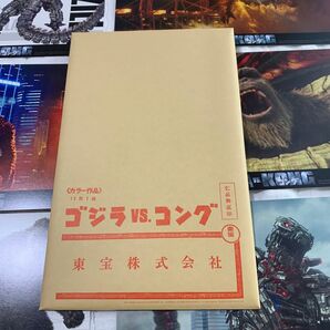 ゴジラvsコング ビジュアルカード 12枚