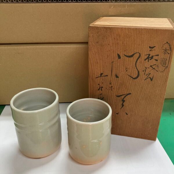信楽焼 湯呑みセット 木箱付き 新品未使用