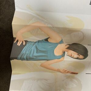 【カテゴリ変更可能】長谷川京子 サンシェード レア