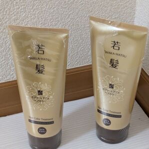 若髪ボリュームアップヘアカラー 二本