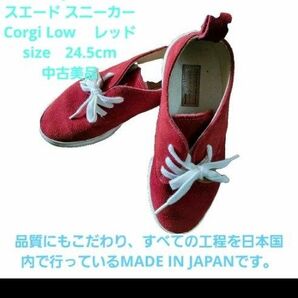 buddy バディ スエード スニーカー Corgi Low /赤 レッド/24.5cm/中古美品