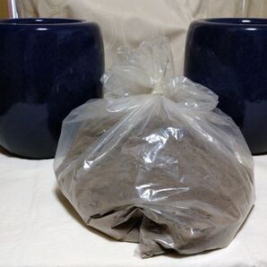 信楽焼 生子 火鉢 8号 2個セット