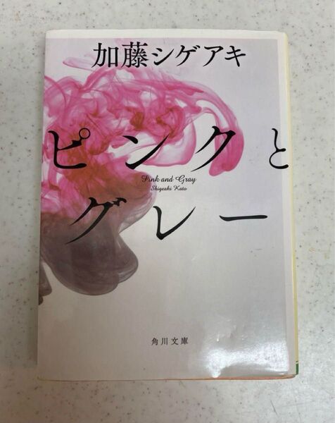 加藤シゲアキ 小説 ピンクとグレー