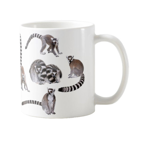 ワオキツネザルのマグカップ：フォトマグ（世界の野生動物シリーズ）（A）（フォトマグ）
