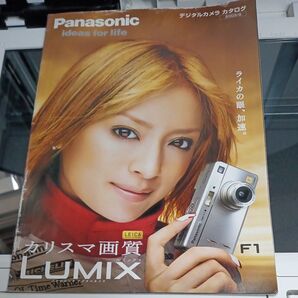 デジカメ Panasonic LUMIX カメラ ライカ DMC-F1 カリスマ 画質