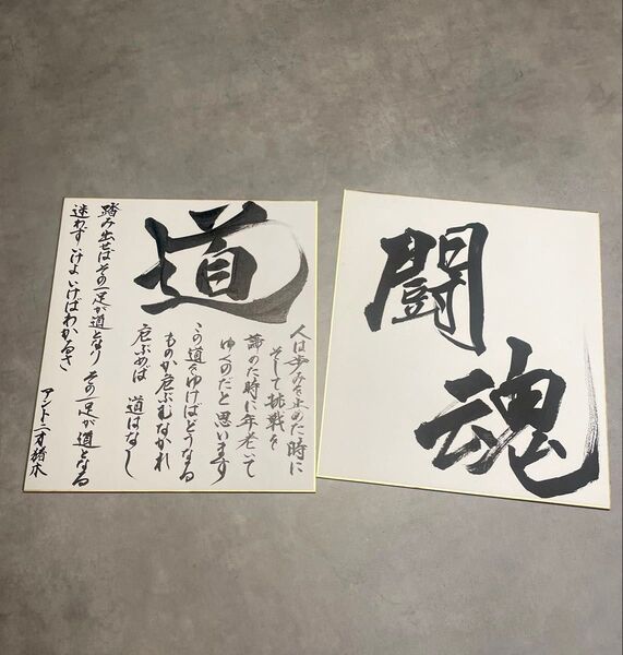 限定価格 道 アントニオ猪木 色紙2枚セット