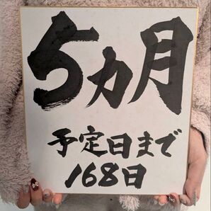 書道家が贈る特別なマタニティフォトアイテム:写真映えする手書き色紙プロップス 色紙5枚セット