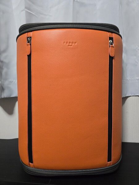 ジョルジオフェドン GIORGIO FEDON キャリーバッグ(付属品あり) レザー
