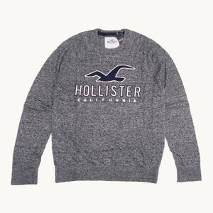 ★SALE★Hollister/ホリスター★アップリケ付クルーネックセーター (Heather Grey/M)