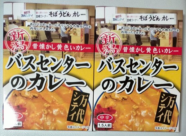 新潟 バスセンターのカレー 2箱