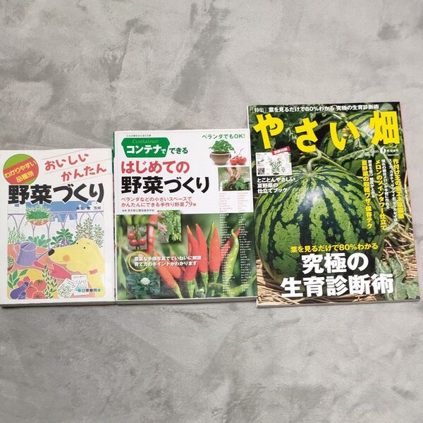 家庭菜園3冊セット コンテナでできるはじめての野菜づくり おいしいかんたん野菜づくり やさい畑2020年6月 初夏号 生育診断術