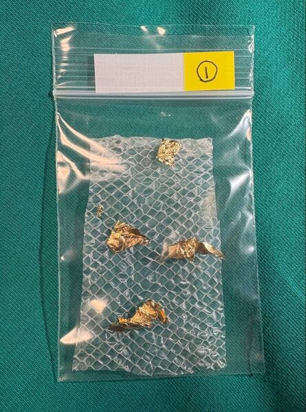 【速送!】金箔付き白蛇の殻☆金運アップ ①