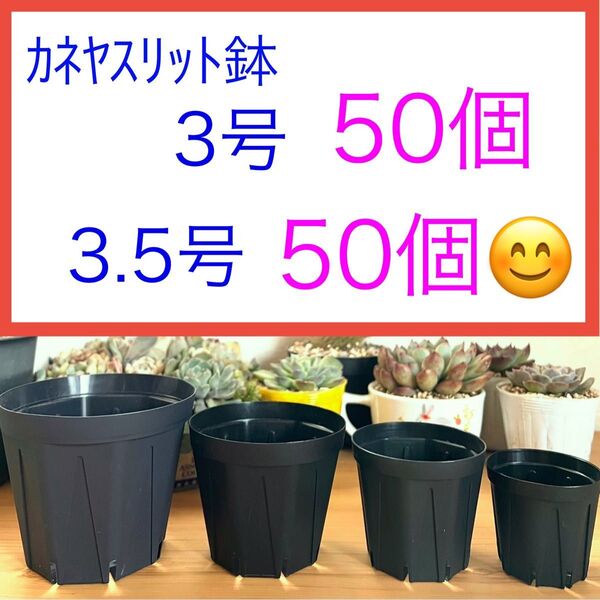 B⑦ スリット鉢お得セット★【3号】50個【3.5号】50個