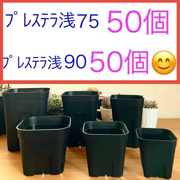 D④ プレステラ浅型お得セット★ 【75サイズ50個】【90サイズ50個】黒