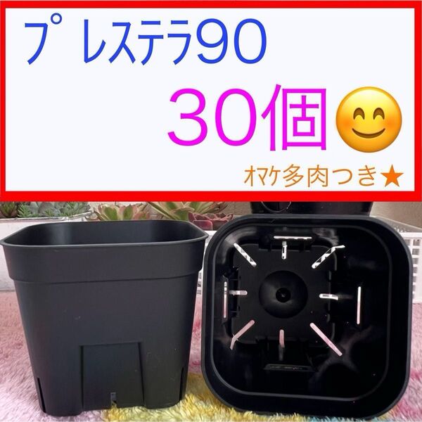 D① 【プレステラ90】ブラック 30個セット★