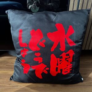 レア 貴重 水曜どうでしょう クッション(クッションは一般的な大きさです)