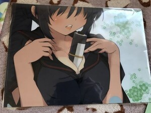 d029クリアファイル 3DSソフト 閃乱カグラ Burst 紅蓮の少女達- ゲオ店舗予約特典 焔