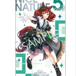 中古 開封品 ナイスネイチャ 布ポスター
